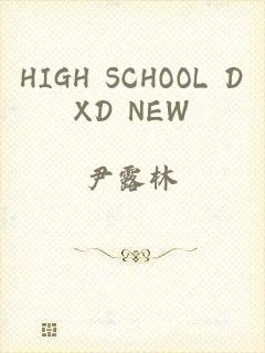 HIGH SCHOOL DXD NEW